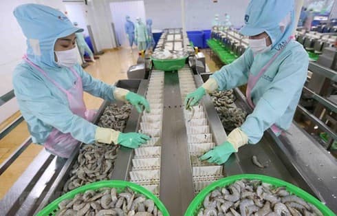 HCM City’s eight-month exports up slightly