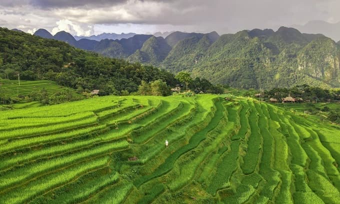 Retreat to nature at national reserve Pu Luong