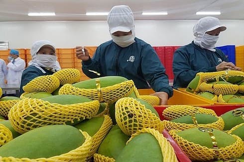 US quarantine experts to arrive in Vietnam on September 2