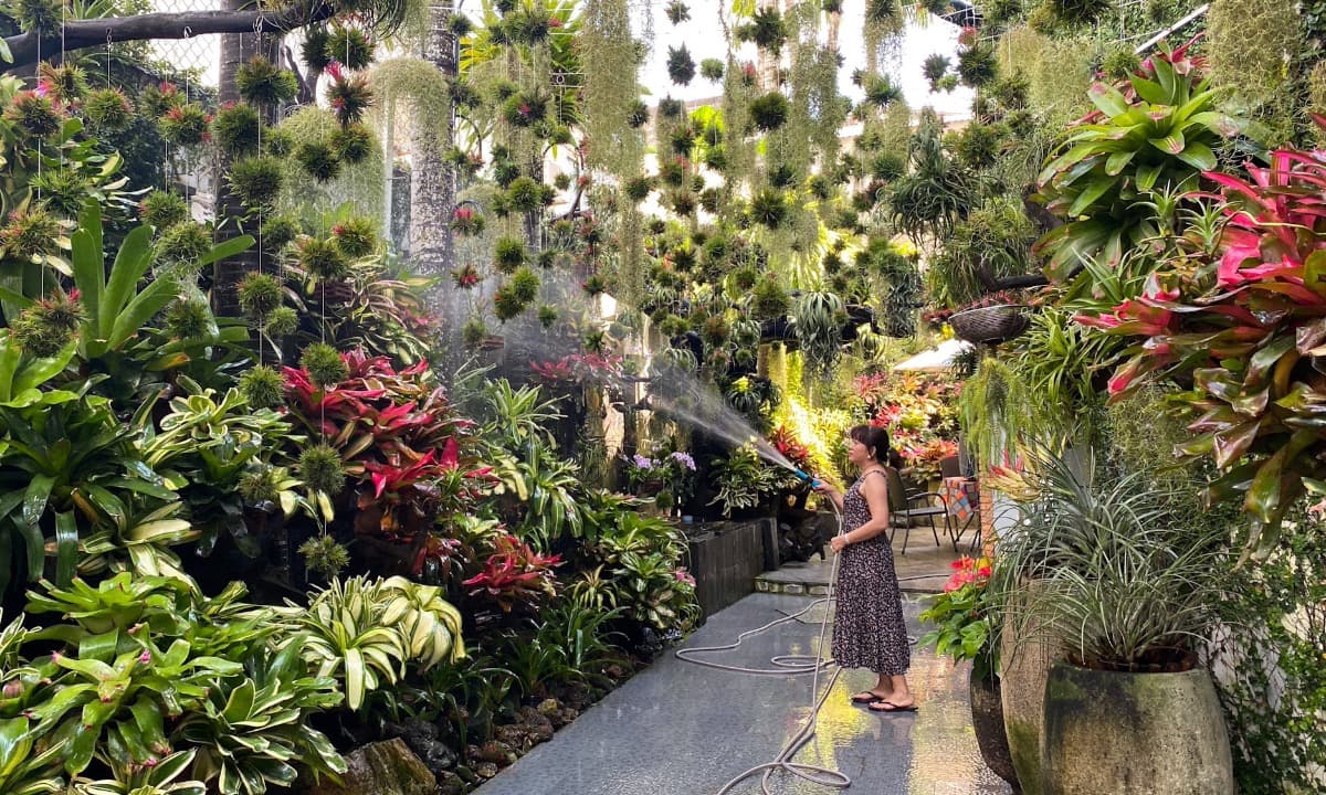 Latin garden adds lush warmth to Mekong Delta home