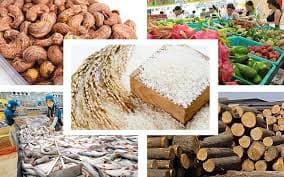 Agricultural sector enjoys trade surplus of over US$6 bln in eight months