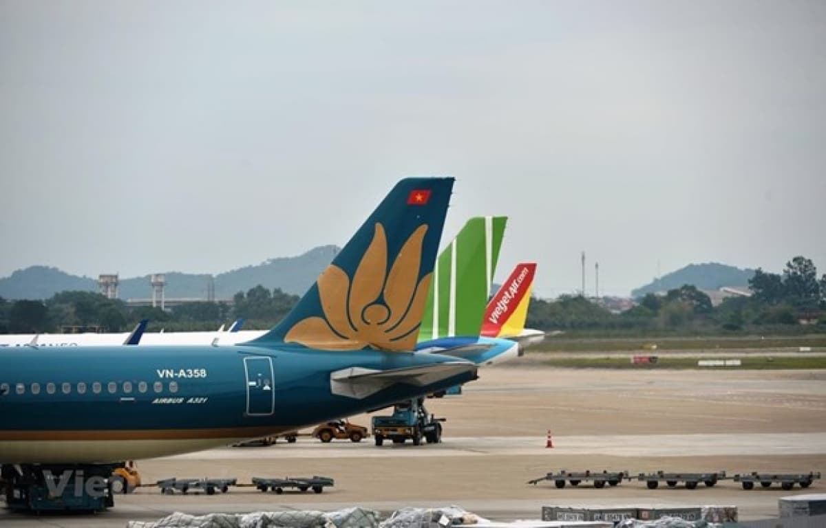 Airline service fees reduced by half for next six months
