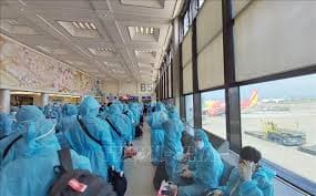 230 Vietnamese citizens arrive home safely from Chinese Taiwan