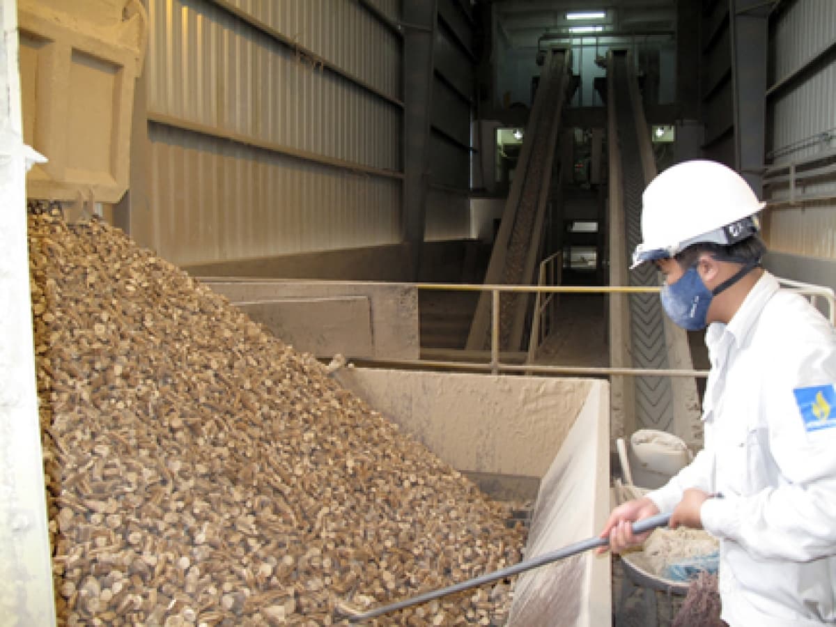 Dried cassava chips exports enjoy vigorous growth