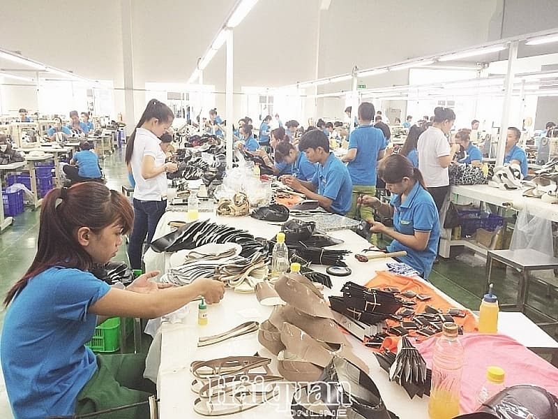 Vietnamese footwear struggles to export into American, Chinese, Japanese markets