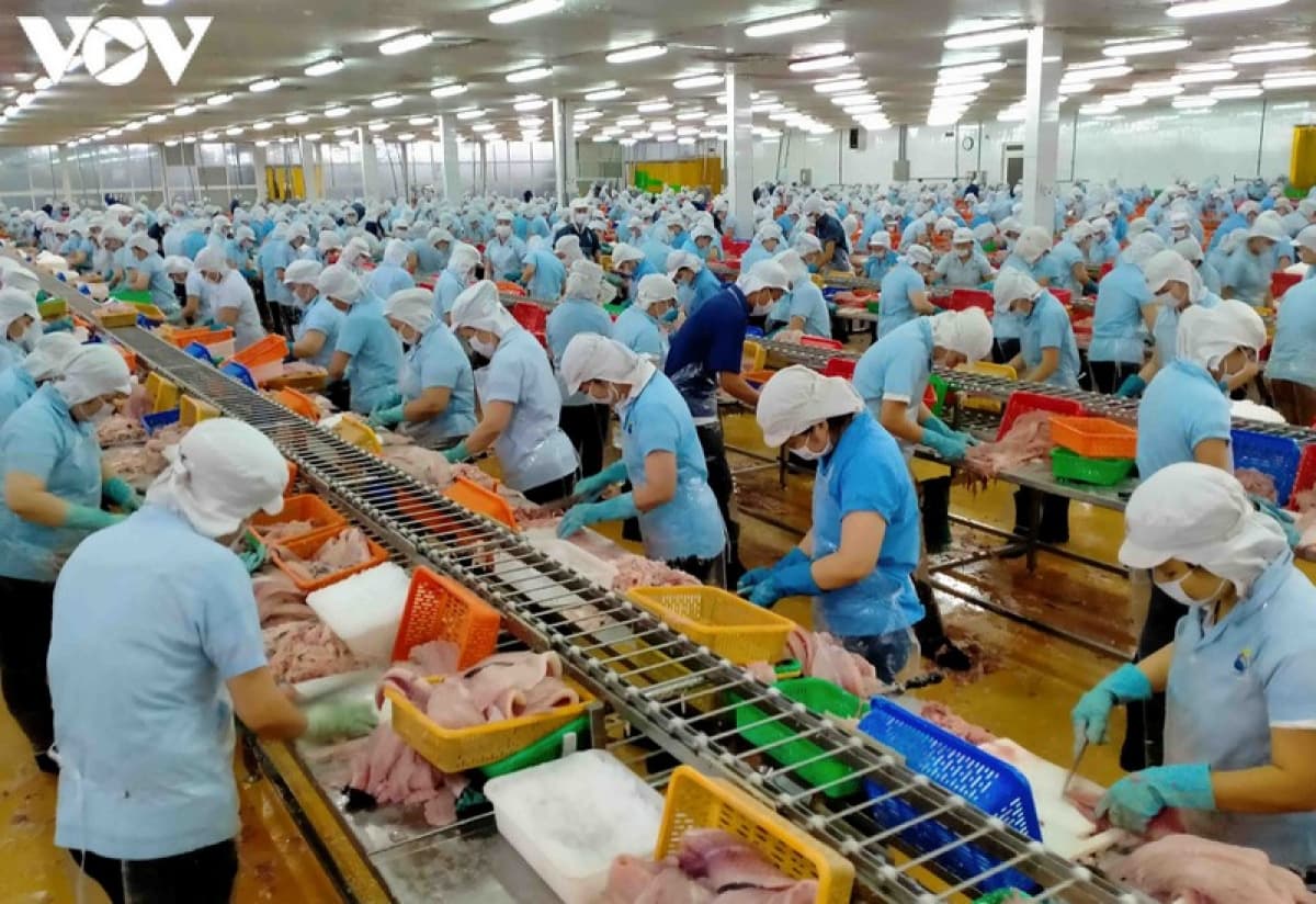 Vietnamese seafood items to be re-exported to Saudi Arabia