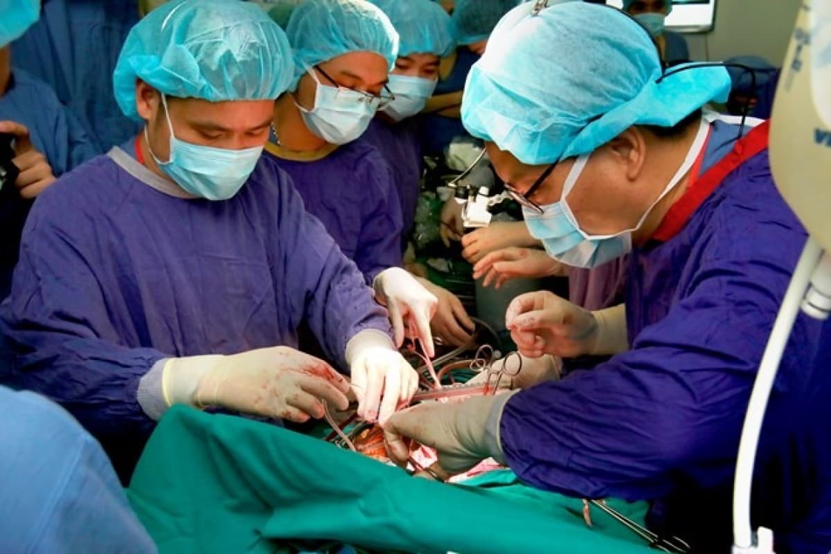 Record number of organ transplants performed in Vietnam