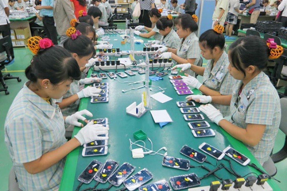 Exports to EU market increase following EVFTA coming into effect