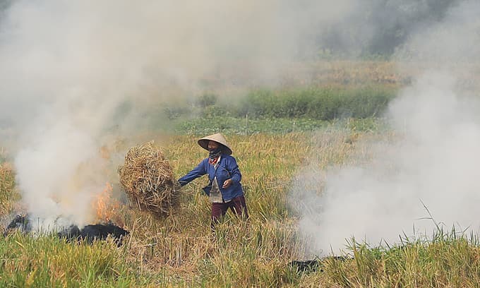 Hanoi to cease straw burning starting 2021