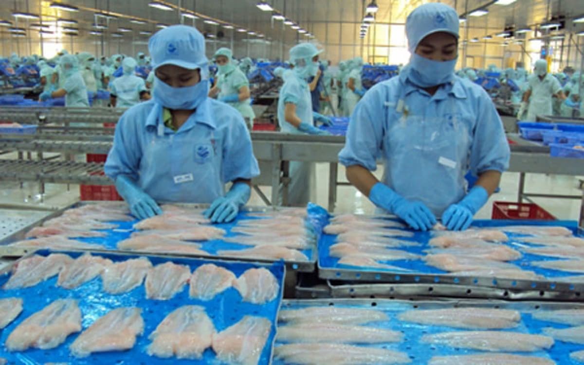 Tra fish exports to UK market enjoy surge