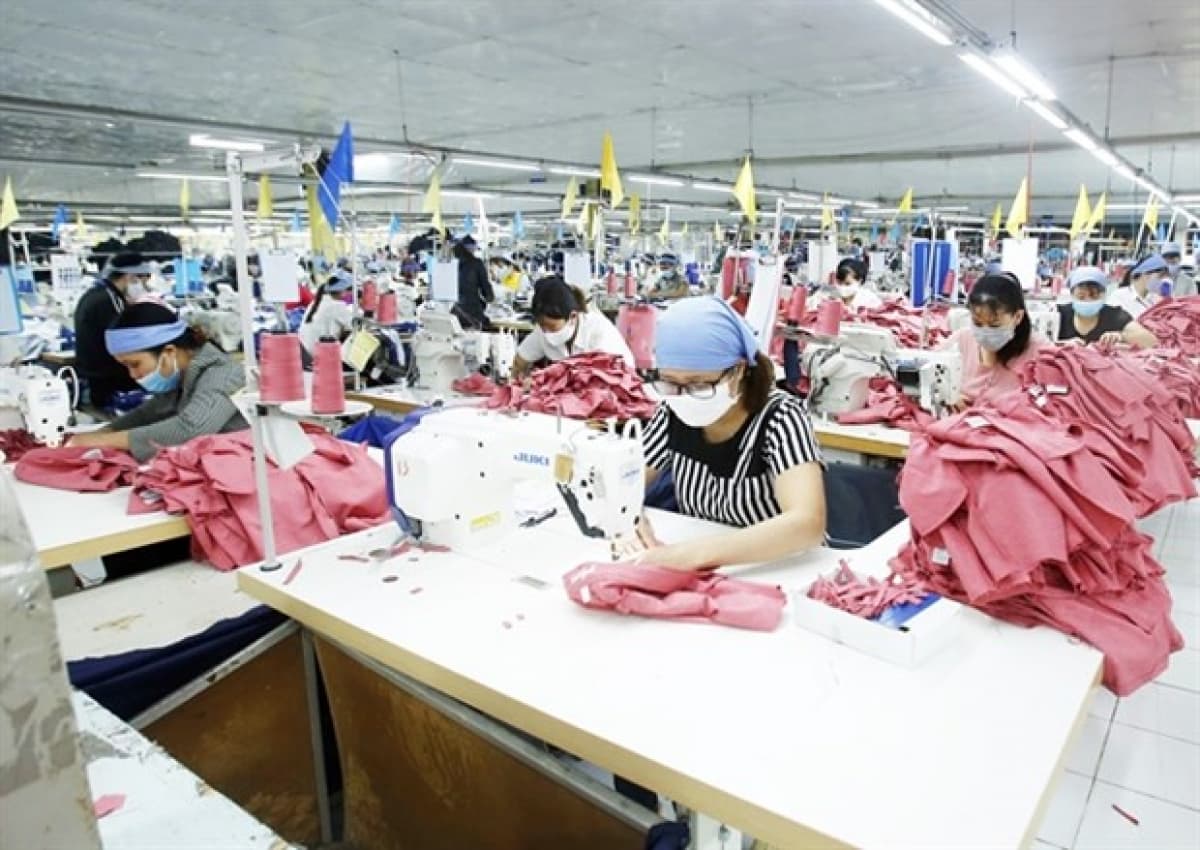 Vietnam needs to develop raw materials production to take advantage of EVFTA