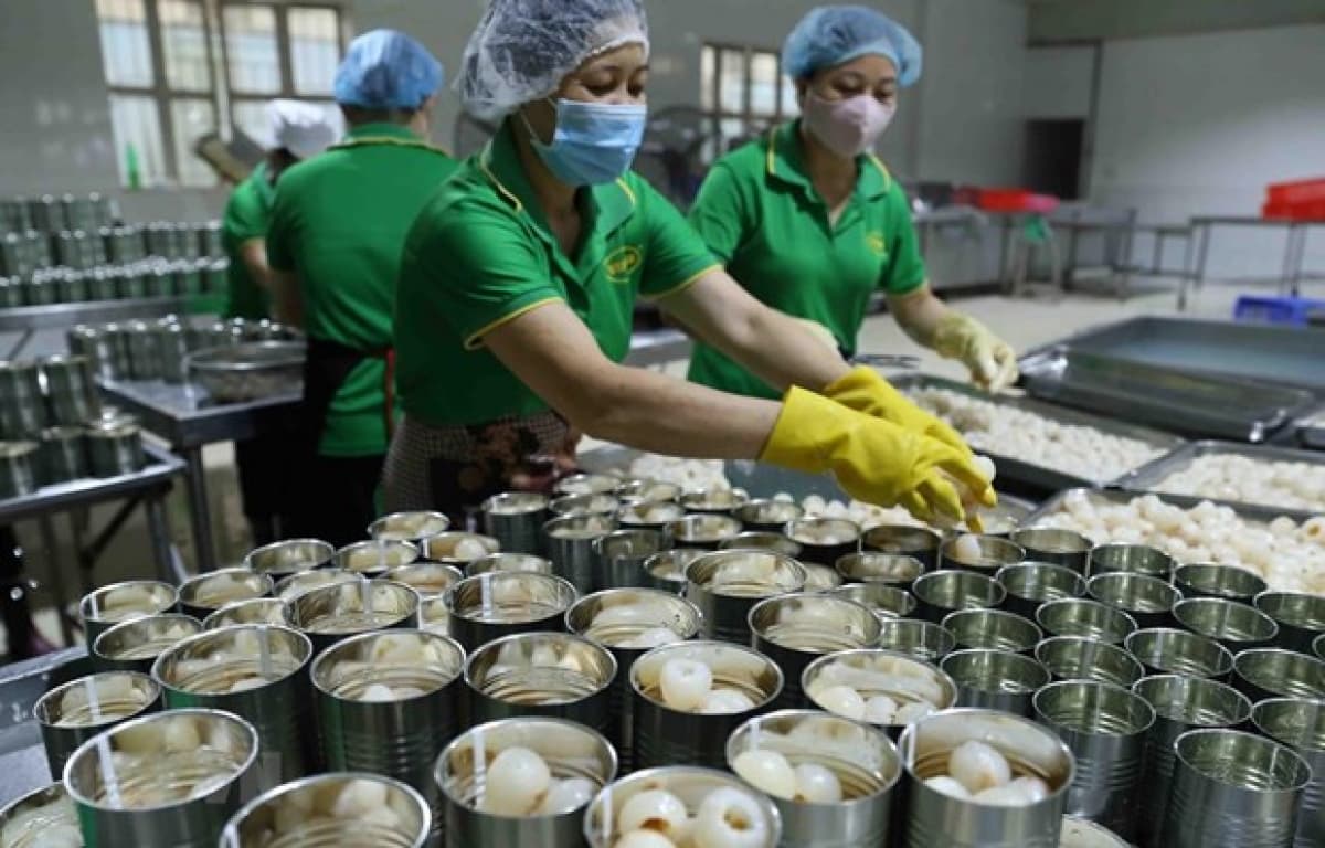 Quarantine stepped up for fruit exports to US