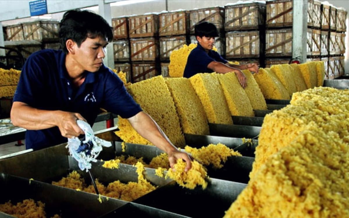 Rubber exports endure drop in value despite surge in volume