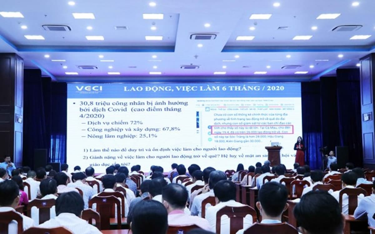 Conference seeks way to optimise EVFTA, EVIPA