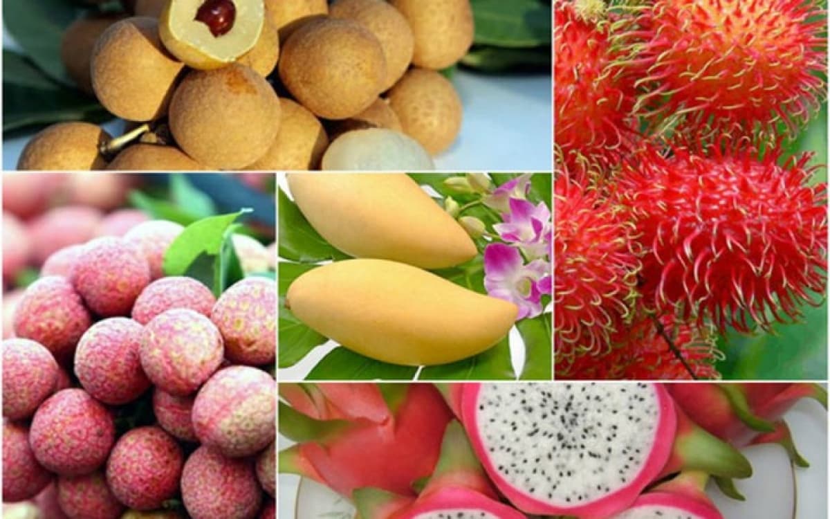 Vietnamese fruit exports to US market expected to grow by year end