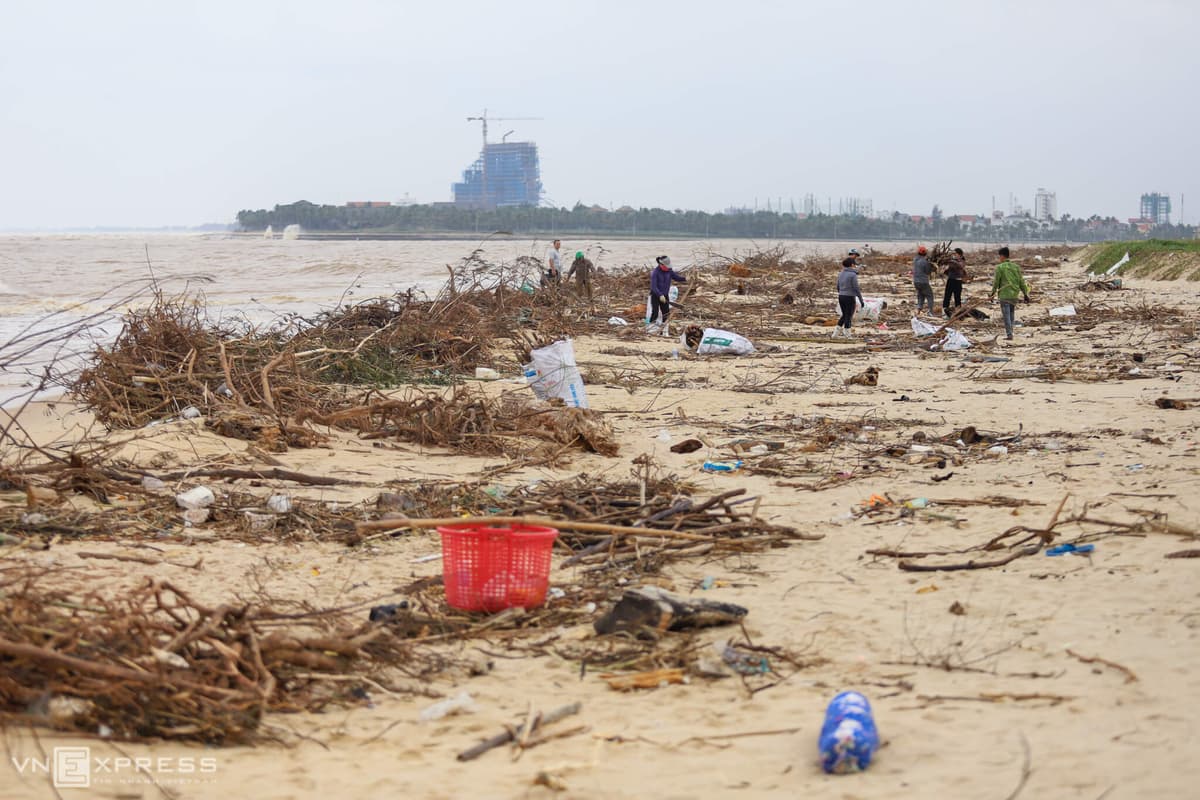 Floods deposit logs on Quang Binh beach