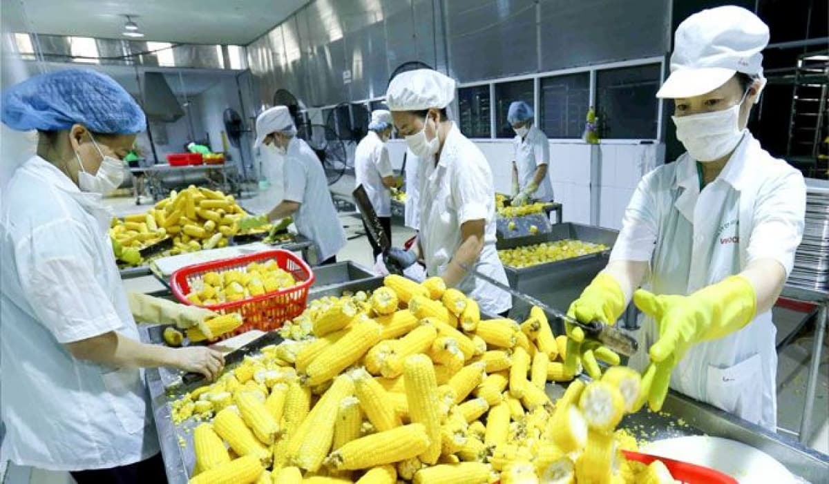 Seminar highlights development of value chain for agricultural exports