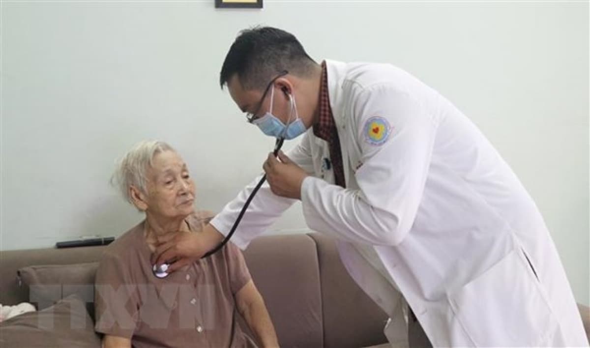 Action Month for the Vietnamese Elderly launched
