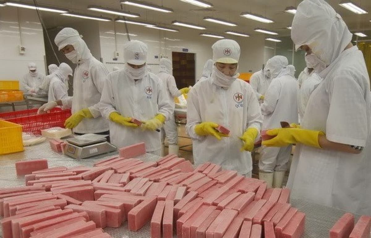 Vietnam unlikely to reach target of 1 million firms by 2020