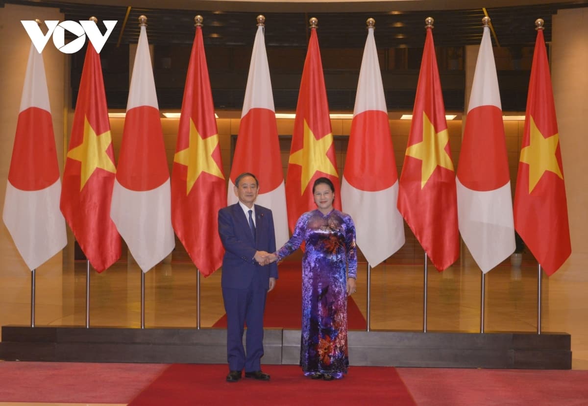 Vietnamese NA attaches importance to promoting extensive strategic partnership with Japan