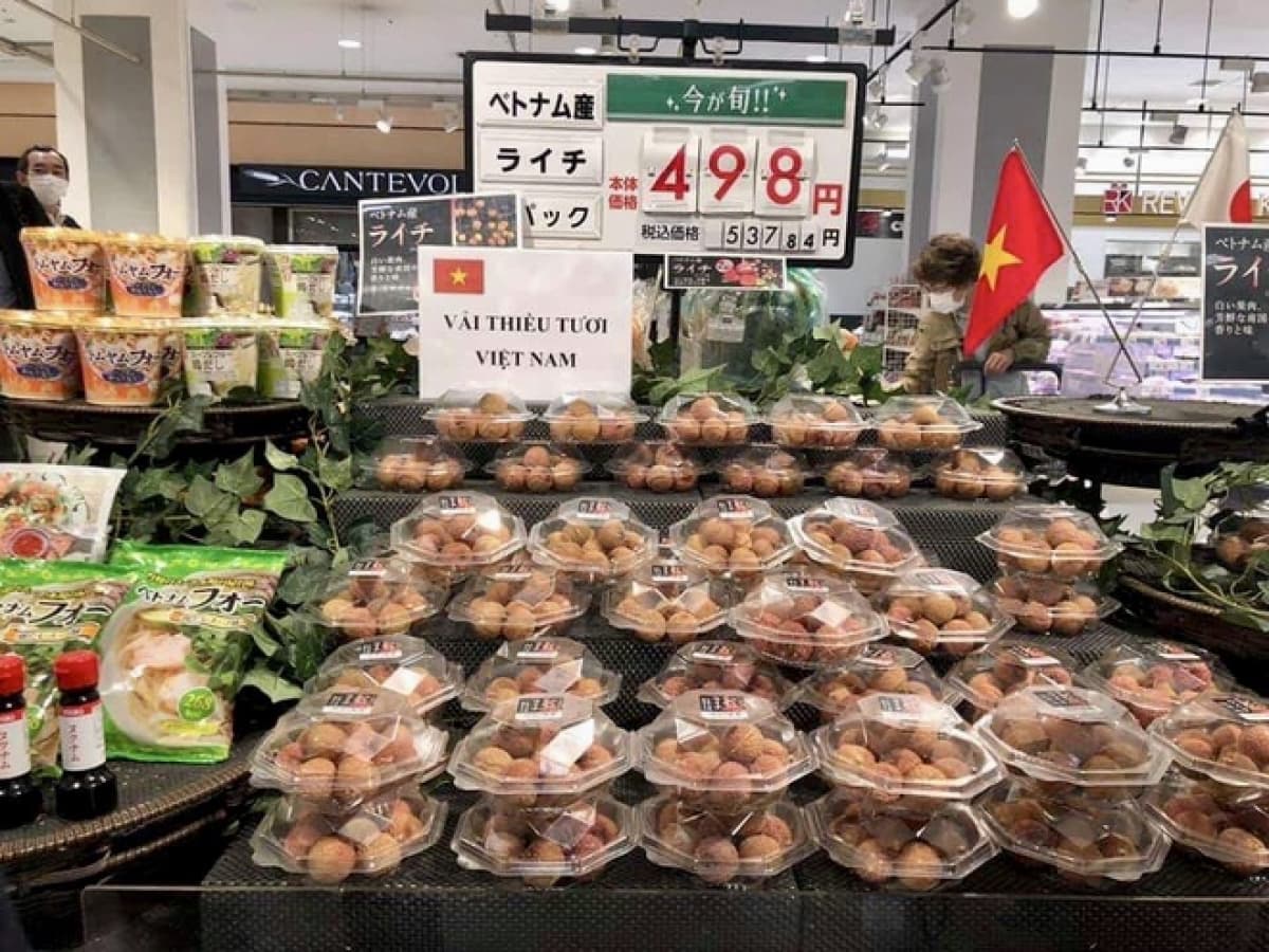 Japan to import US$20 billion worth of Vietnamese goods in 2020