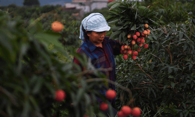 Vietnam to miss long-term GDP target over pandemic