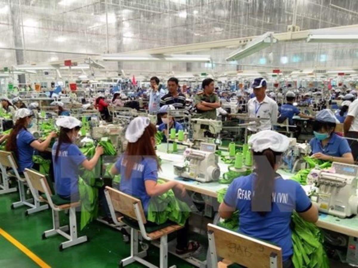 HCM City licences 30,000 new businesses in nine months