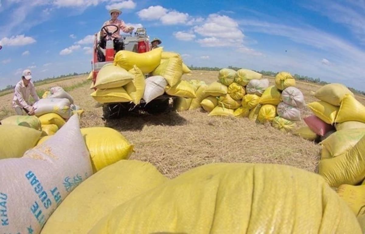 Opportunity for Vietnam to export rice to Australia