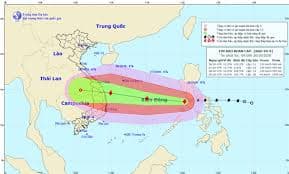 Frontline Steering Committee in response to Storm Molave established