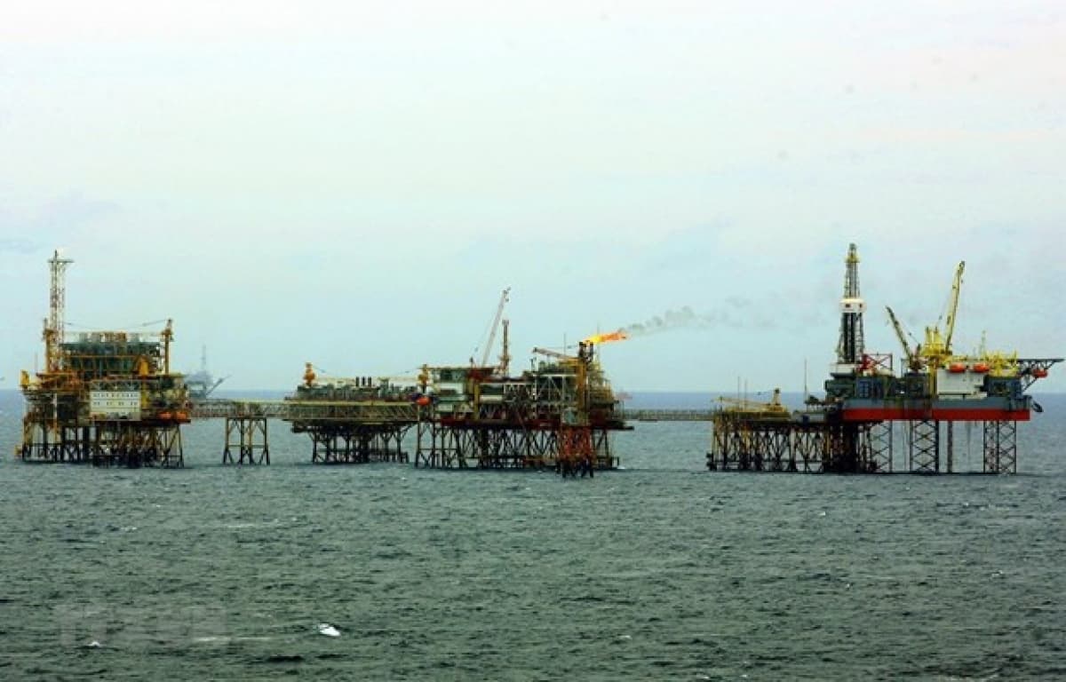 Five subsidiaries of PetroVietnam earn national brand title