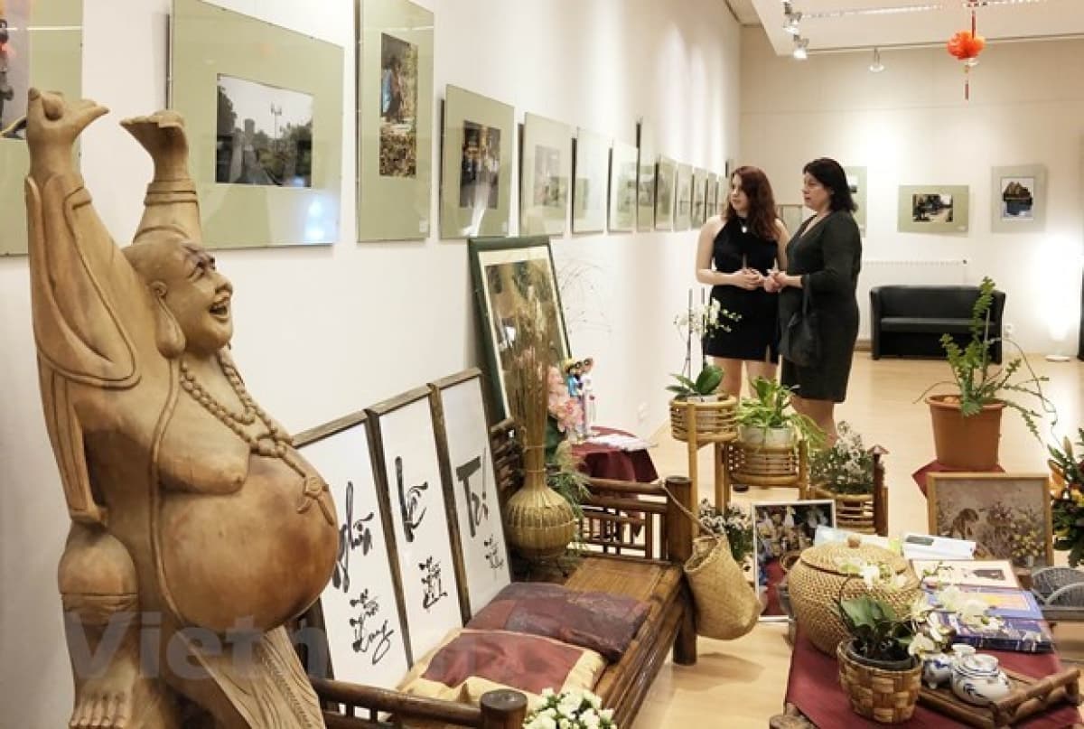 Diverse activities mark 70th anniversary of Vietnam-Hungary diplomatic ties
