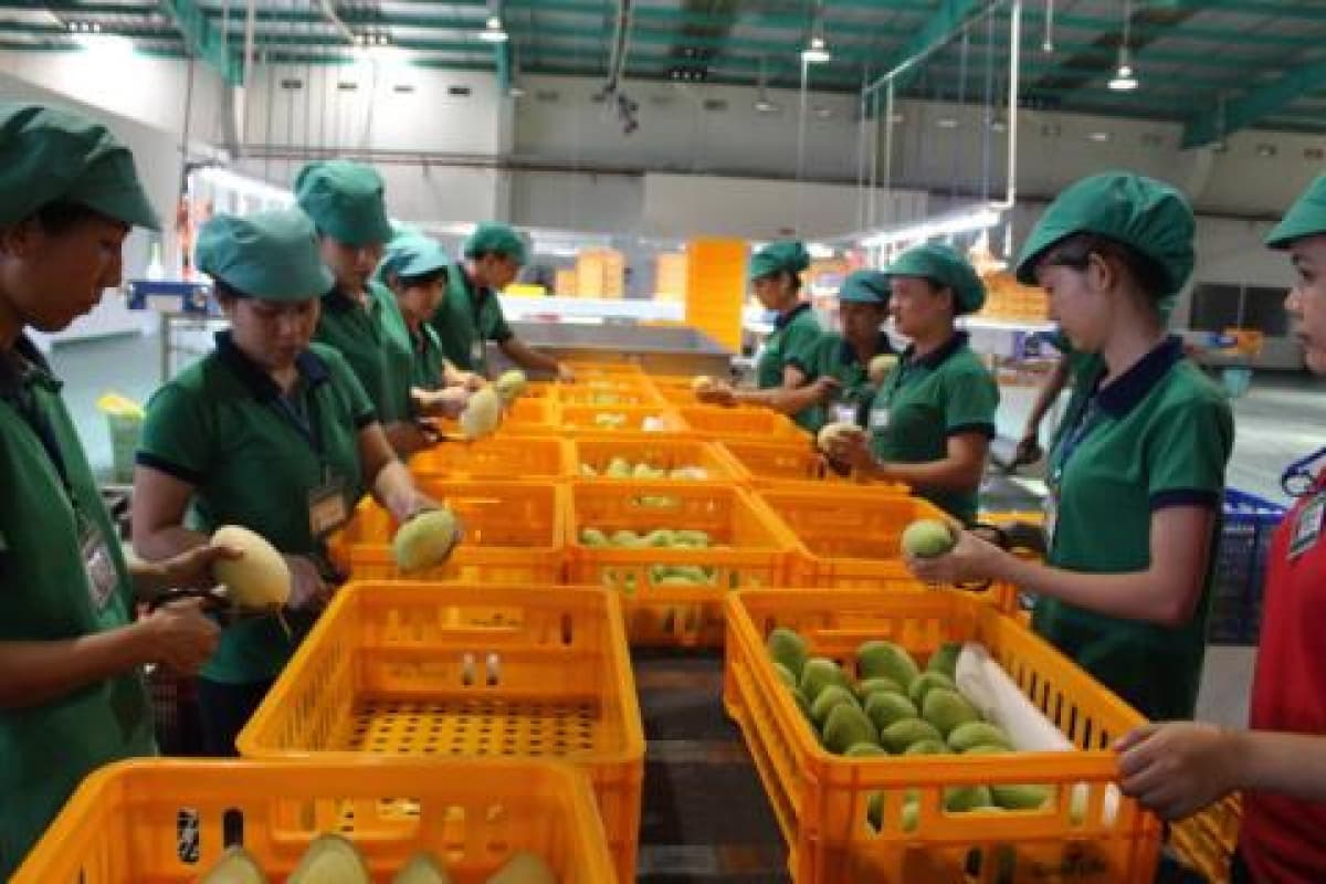 Vietnamese exports to US market enjoy robust growth