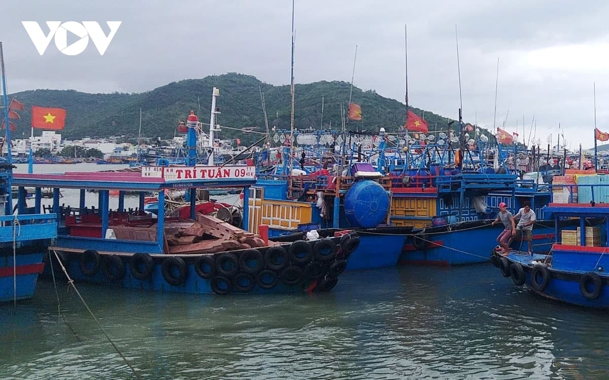 400,000 residents flee homes ahead of Storm Etau’s landfall