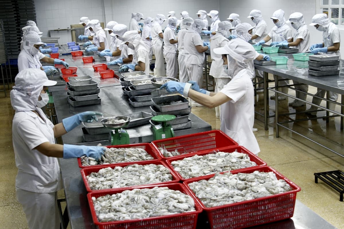 Vietnam retains position as leading shrimp exporter to Canada