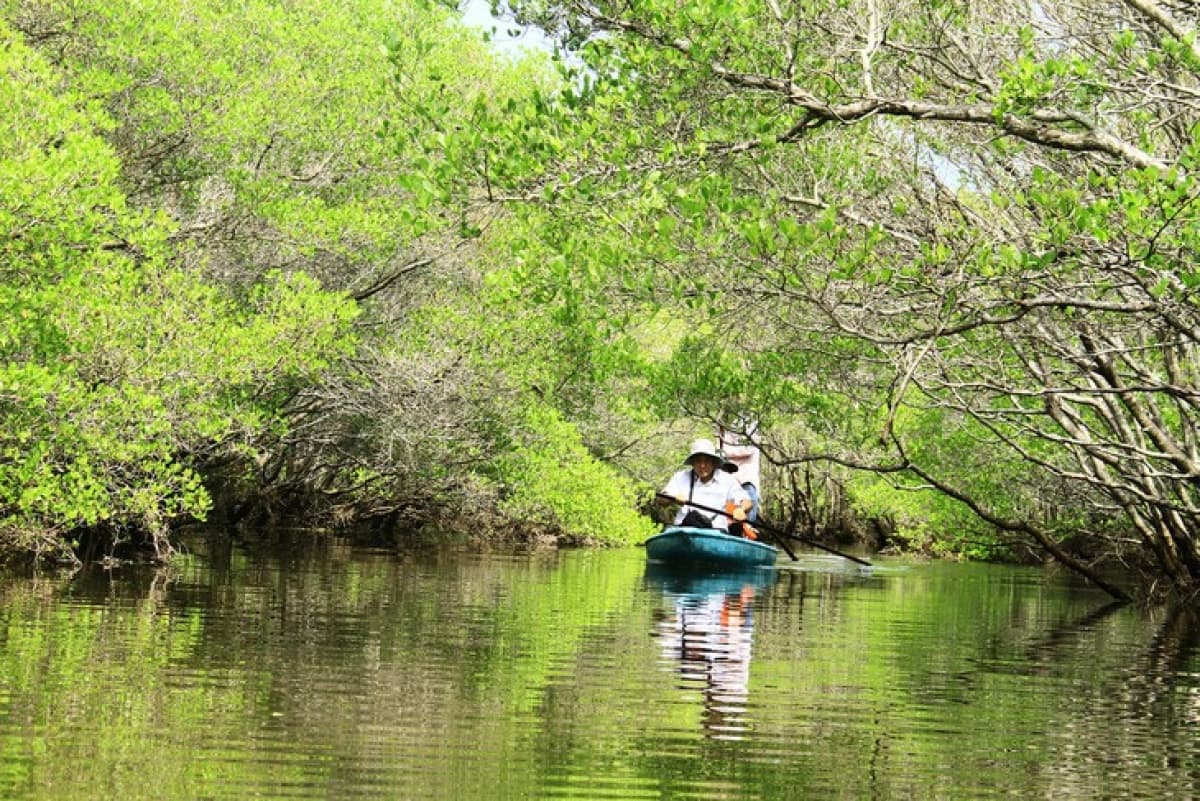 UNDP helps coastal communities adapt to climate change