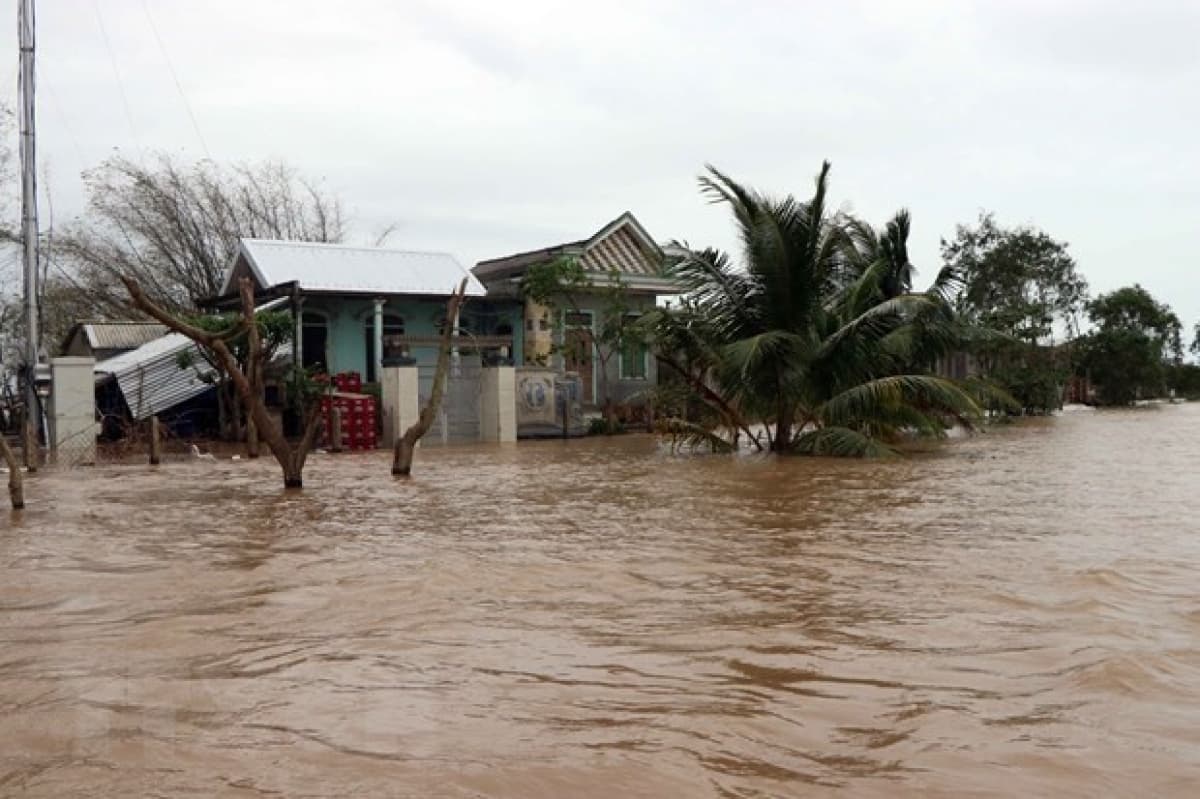 Disasters may cost Vietnam 1.5% of GDP annually