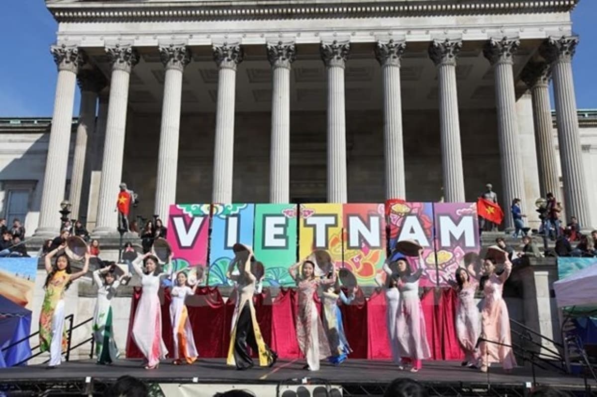Education key element in Vietnam-US relations, says US report