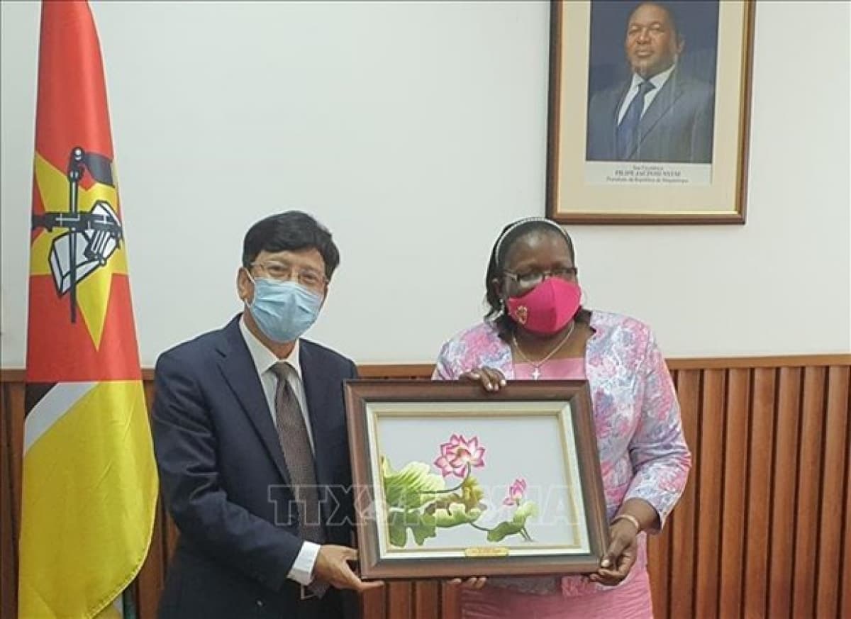 Mozambique praises Vietnamese role as ASEAN Chair and non-permanent UNSC member