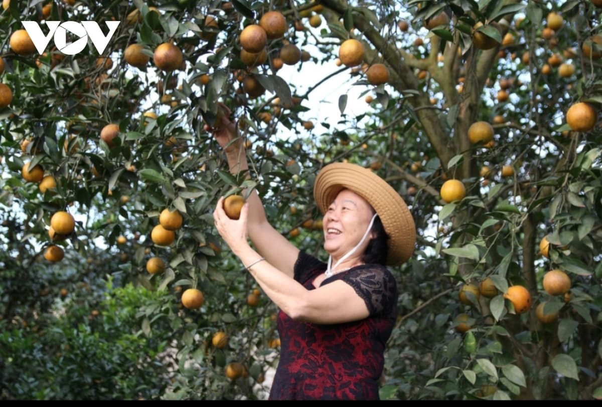 Green tourism – an emerging trend in post-COVID-19 landscape
