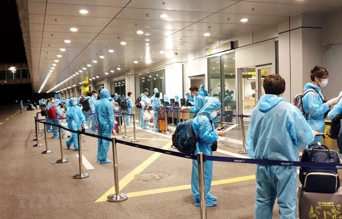 240 Vietnamese citizens arrive home safely from Singapore