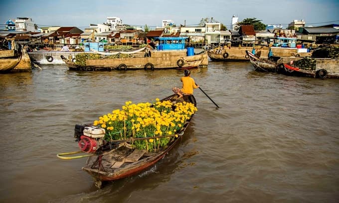 Can Tho to host flower garland, lantern festival