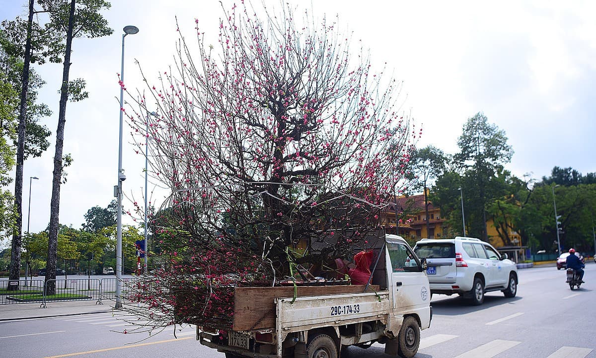 Vietnam to enjoy seven-day Lunar New Year break