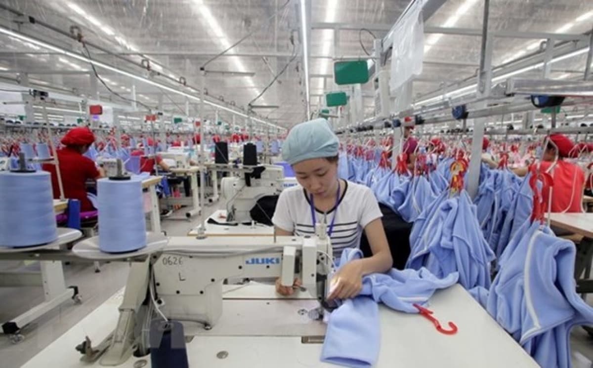 Registered capital of newly-established enterprises up in 11 months