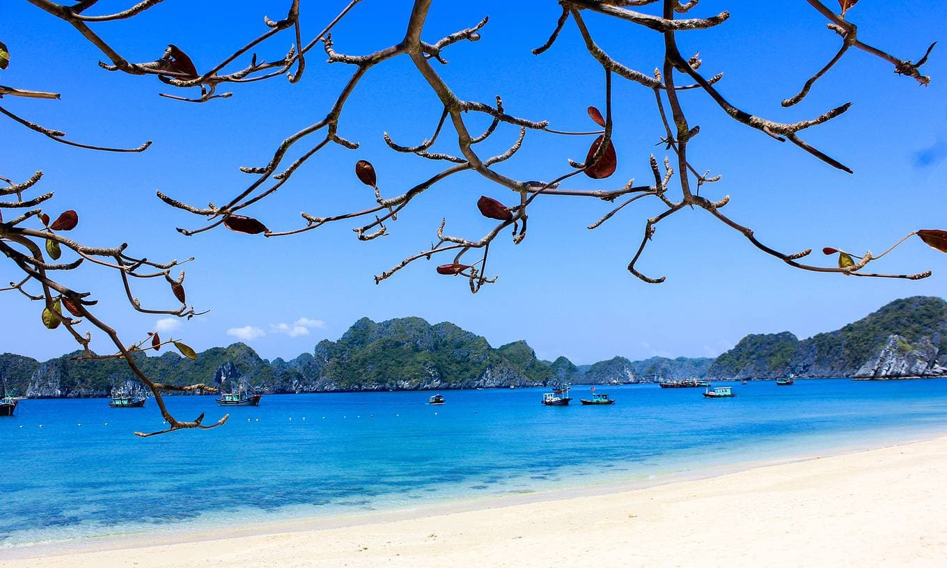 Google reveals tourist destinations Vietnamese most searched for in 2020