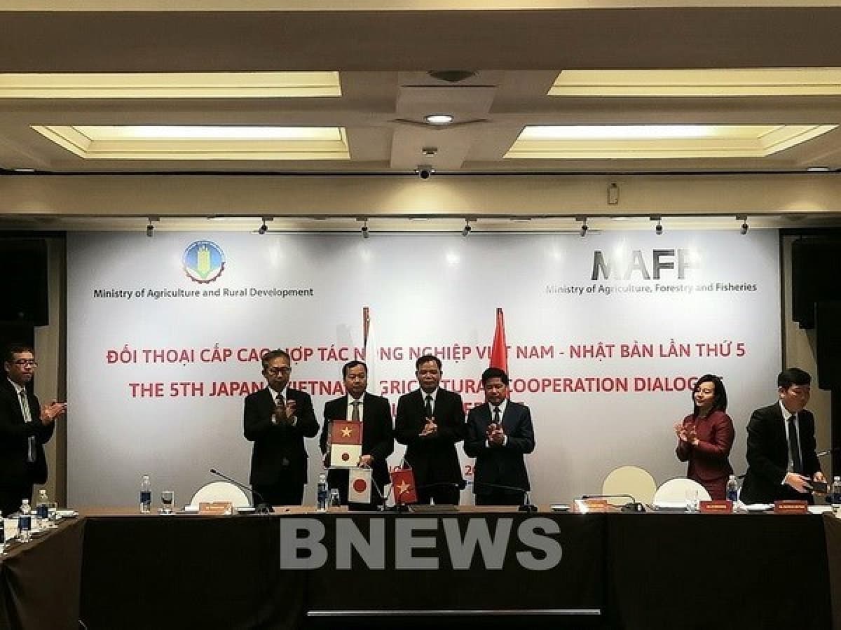 Vietnam, Japan further promote agricultural cooperation