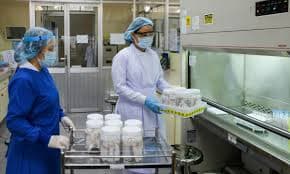 ADB supports production of generic medicines in VN amidst COVID-19 outbreaks