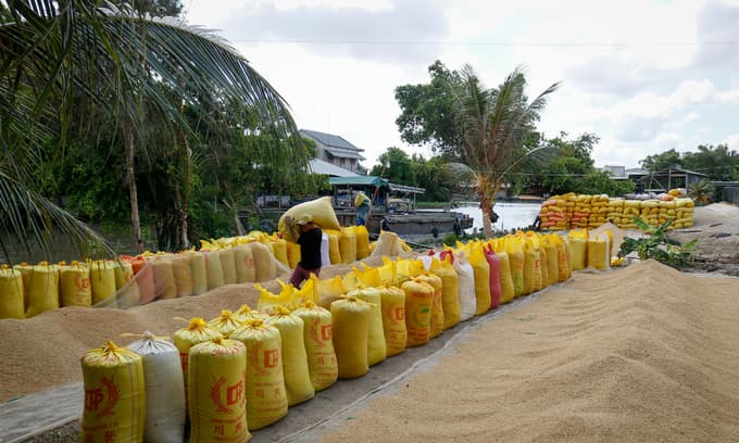Mekong Delta economy struggles to grow
