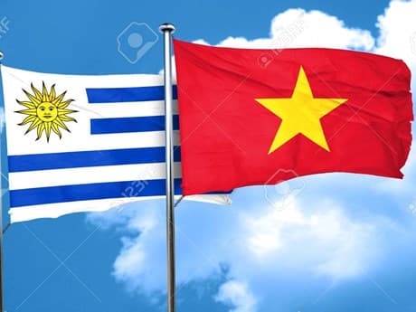 Party official discusses promoting ties with political parties in Uruguay