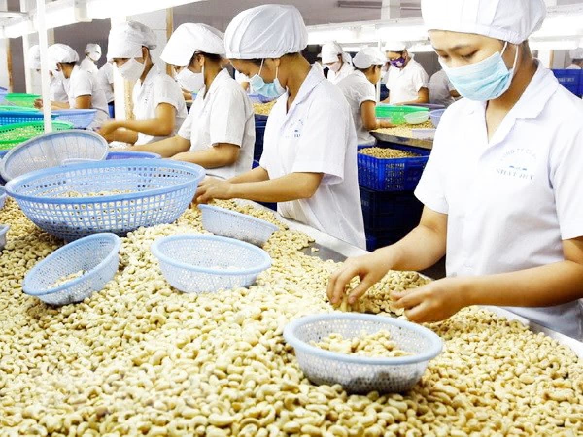Vietnam's agriculture needs support from foreign partners: MARD