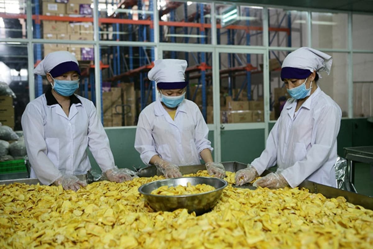 Agricultural sector urged to devise concrete strategies to utilize RCEP